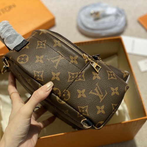 Louis Vuitton Monogram Palm Springs Mini