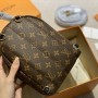 Louis Vuitton Monogram Palm Springs Mini