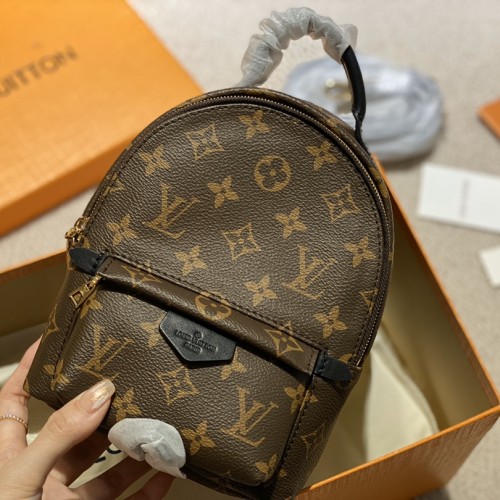 Louis Vuitton Monogram Palm Springs Mini