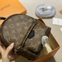 Louis Vuitton Monogram Palm Springs Mini