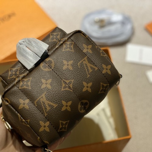 Louis Vuitton Monogram Palm Springs Mini