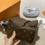 Louis Vuitton Monogram Palm Springs Mini