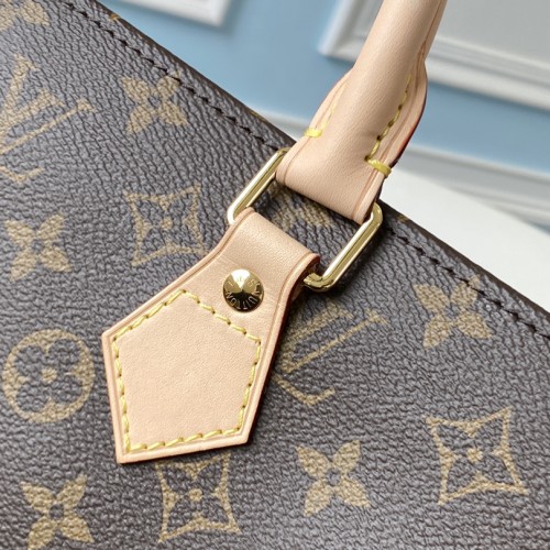 Louis Vuitton Monogram Sac Plat