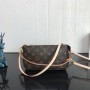 Louis Vuitton Monogram Pochette Accessories