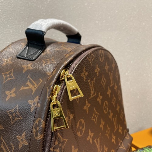 Louis Vuitton Monogram Palm Springs MM