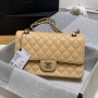 Chanel Medium Classic Double Flap Shoulder Bag