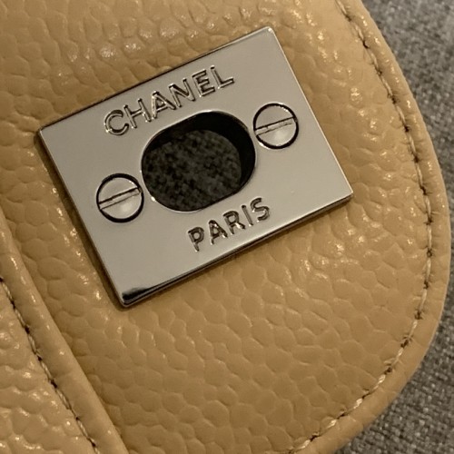 Chanel Medium Classic Double Flap Shoulder Bag