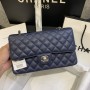 Chanel Classic Medium Iridescent Double Flap Bag