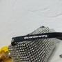 Alexander Wang Crystal Embellished Heiress Pouch w/ Tags