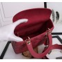 Christian Dior Medium Lady Dior  Bag