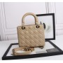 Christian Dior Medium Lady Dior  Bag