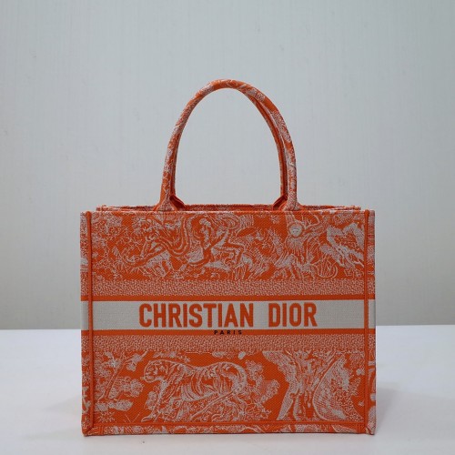 Christian Dior Book Tote Bag