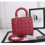 Christian Dior Medium Lady Dior  Bag