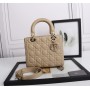 Christian Dior Medium Lady Dior  Bag