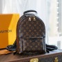 Louis Vuitton Monogram Palm Springs Backpack PM M44871