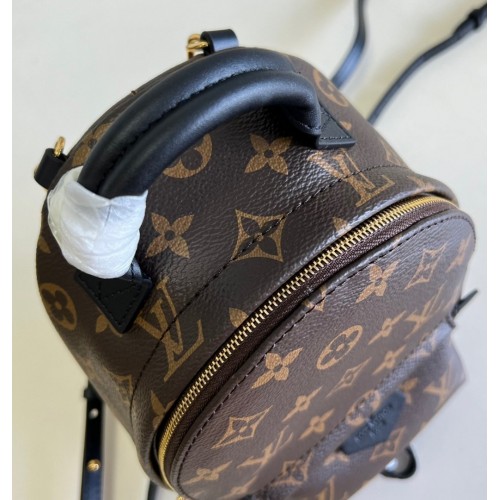 Louis Vuitton Monogram Mini Palm Springs Backpack M44873