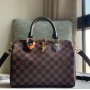 Louis Vuitton Damier Ebene Speedy 25cm with shoulder strap bandouliere N41368