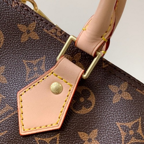 Louis Vuitton Monogram Canvas Speedy 35 with Shoulder Strap M40392