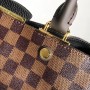 Louis Vuitton Damier Ebene Brittany Black