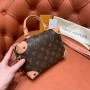 Louis Vuitton Monogram Canvas Petite Malle Souple M45531