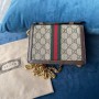 Gucci Ophidia GG Mini Shoulder Bag