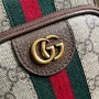 Gucci Ophidia GG mini bag