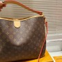 Louis Vuitton Delightful MM Monogram Bag