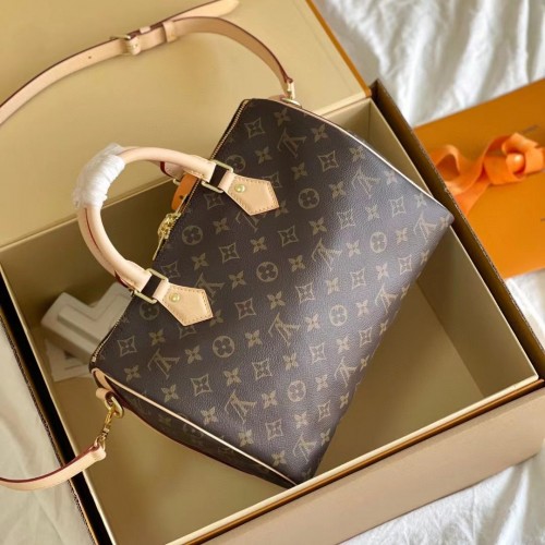 Louis Vuitton Speedy 30 Monogram M41108