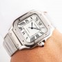 Catier Santos de Cartier Watch